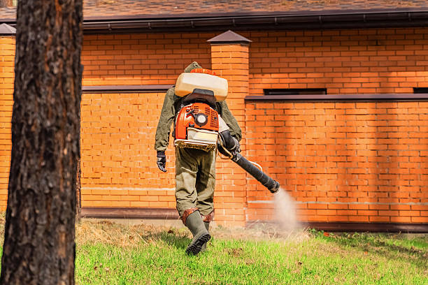 Trusted Rodent Control service in East Rancho Dominguez, CA - Nex Pest Control